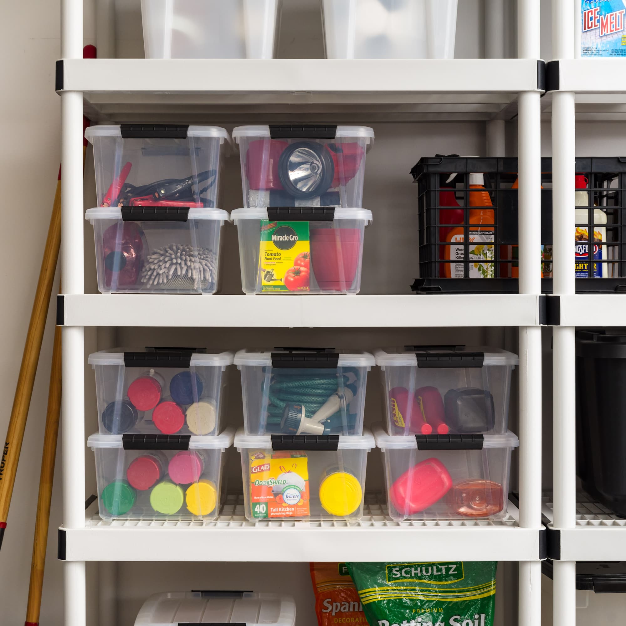 IRIS® 13.5qt. Buckled Clear Boxes with Clear Buckle Lids, 6ct.